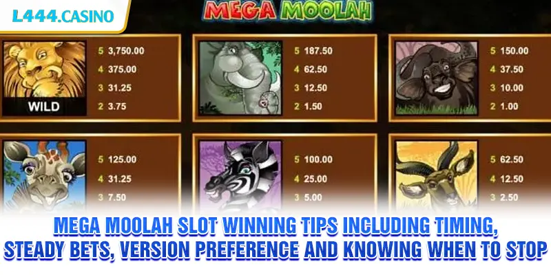 Mega Moolah slot winning tips including timing, steady bets, version preference and knowing when to stop